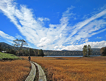 Oegawa Marsh | Mid September Grasses on marsh are turned into red