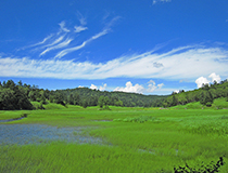 尾瀬沼休憩所 | ベンチからみる大江川湿原