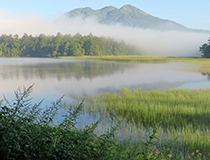 Lake Ozenuma